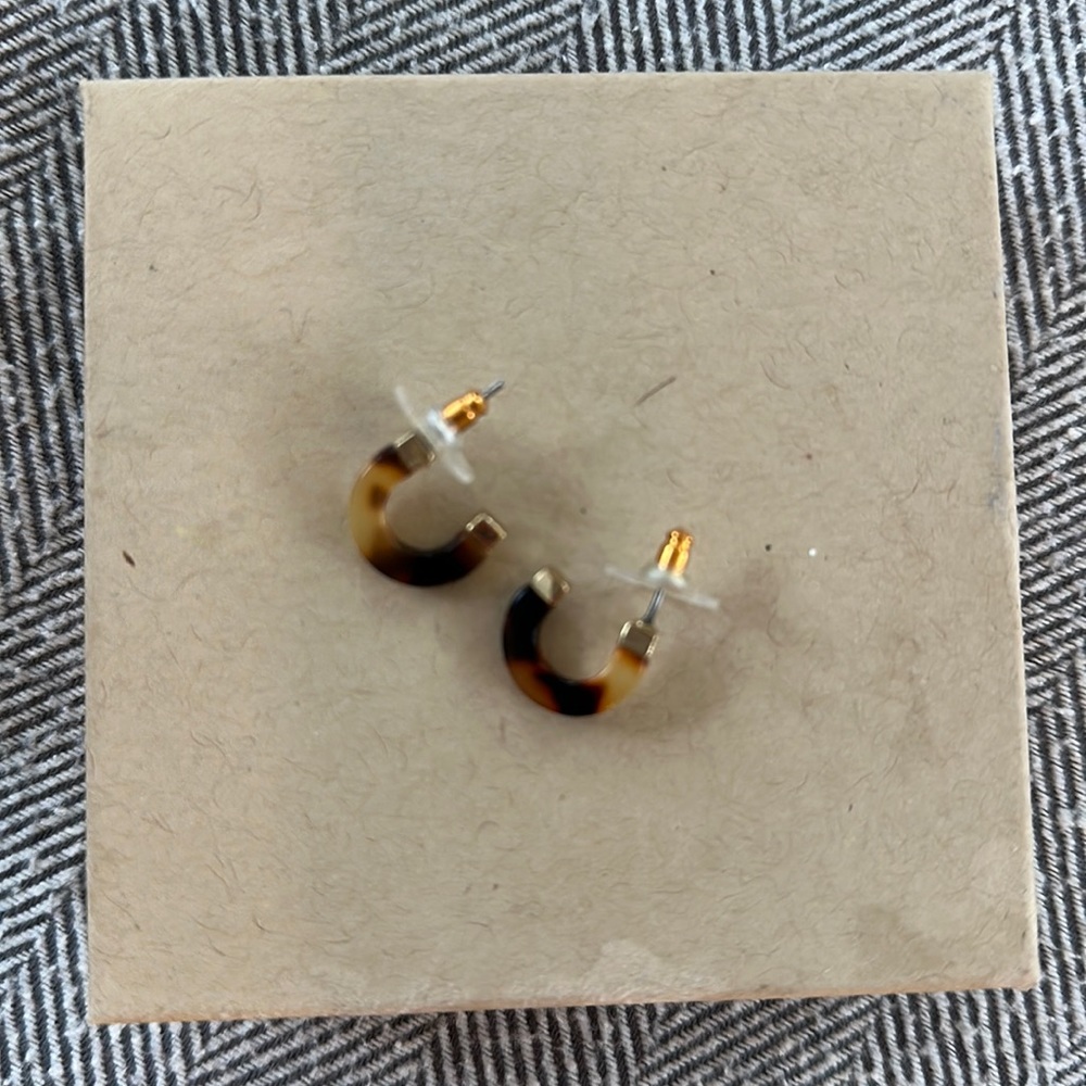 Resin hoop Earrings